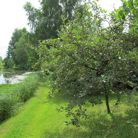 Просмотр увеличенного изображения