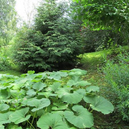 Просмотр увеличенного изображения