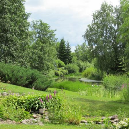 Просмотр увеличенного изображения