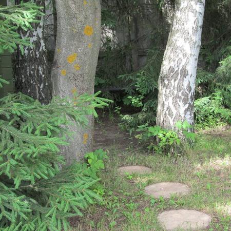 Просмотр увеличенного изображения