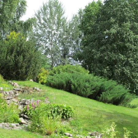 Просмотр увеличенного изображения