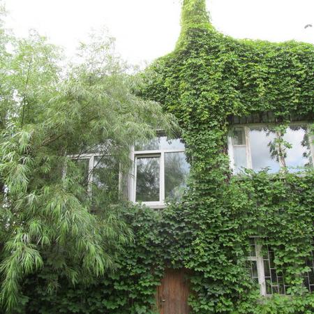 Просмотр увеличенного изображения