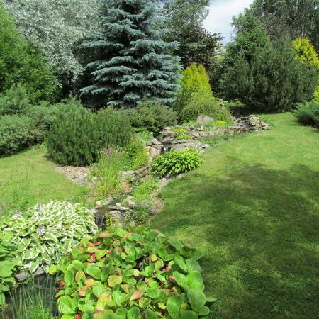 Просмотр увеличенного изображения