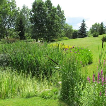 Просмотр увеличенного изображения