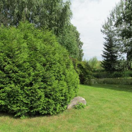 Просмотр увеличенного изображения