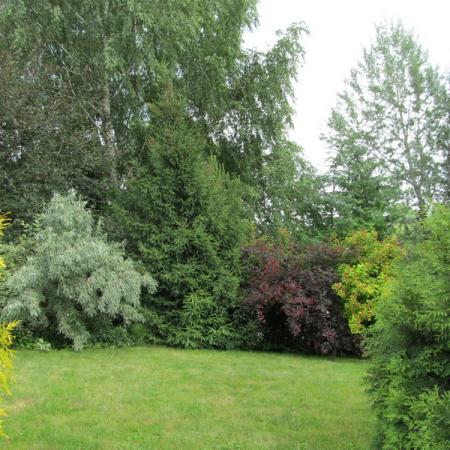 Просмотр увеличенного изображения