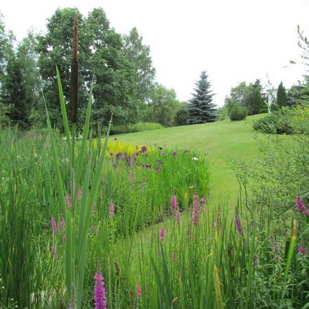 Просмотр увеличенного изображения