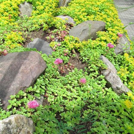 Просмотр увеличенного изображения