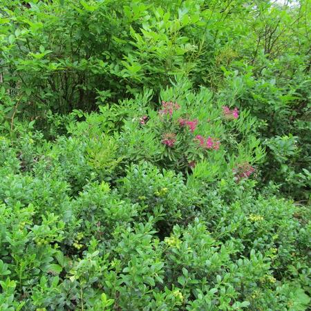 Просмотр увеличенного изображения