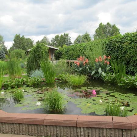 Просмотр увеличенного изображения