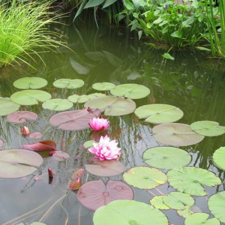 Просмотр увеличенного изображения