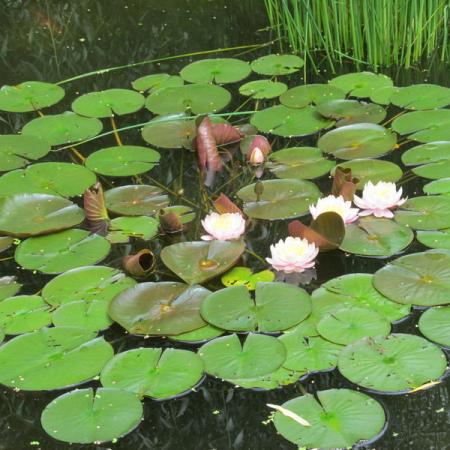 Просмотр увеличенного изображения