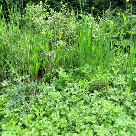 Просмотр увеличенного изображения