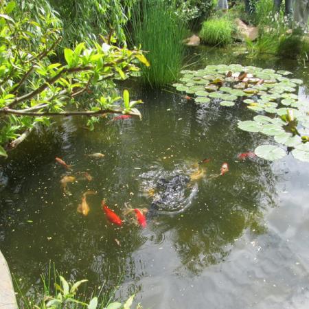 Просмотр увеличенного изображения