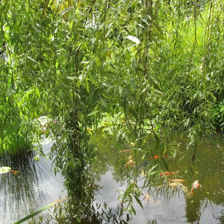 Просмотр увеличенного изображения