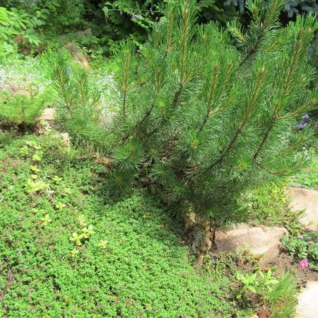 Просмотр увеличенного изображения