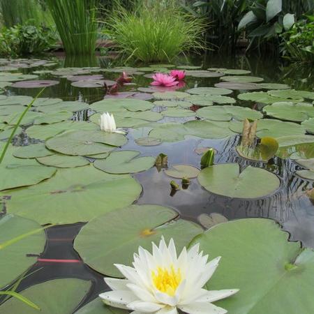 Просмотр увеличенного изображения