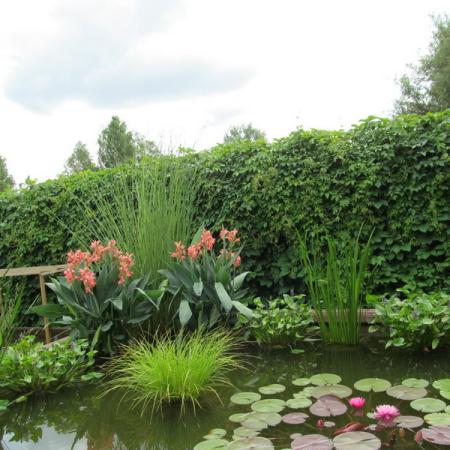 Просмотр увеличенного изображения