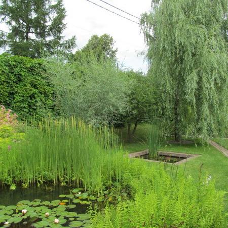 Просмотр увеличенного изображения