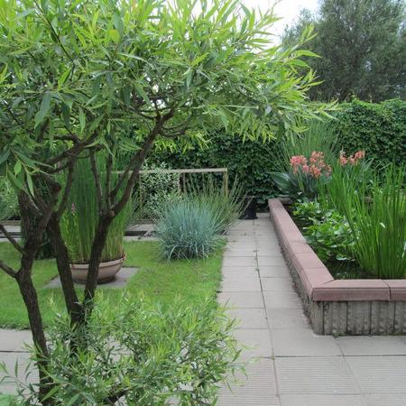 Просмотр увеличенного изображения