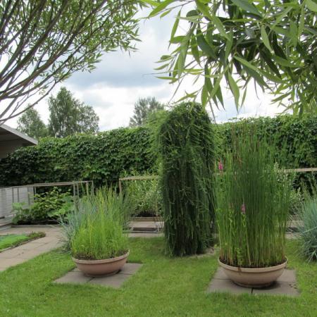 Просмотр увеличенного изображения