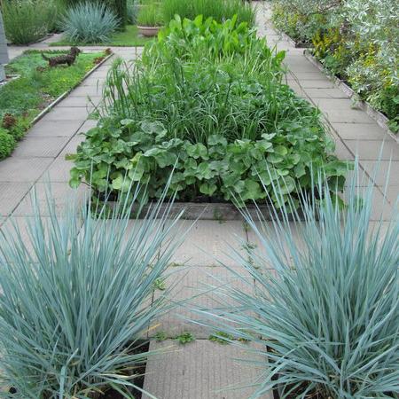 Просмотр увеличенного изображения