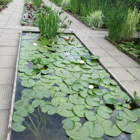 Просмотр увеличенного изображения