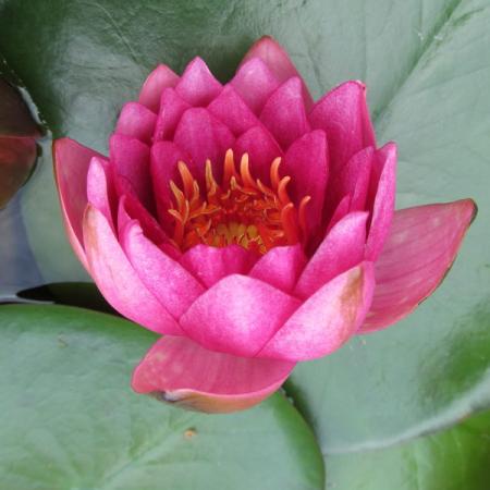 Просмотр увеличенного изображения