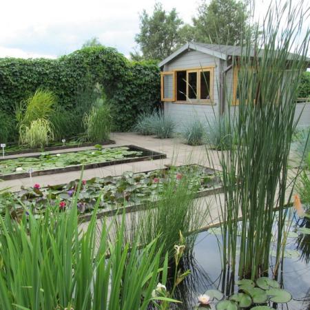 Просмотр увеличенного изображения