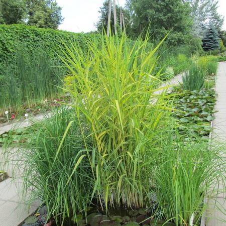 Просмотр увеличенного изображения