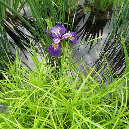 Просмотр увеличенного изображения