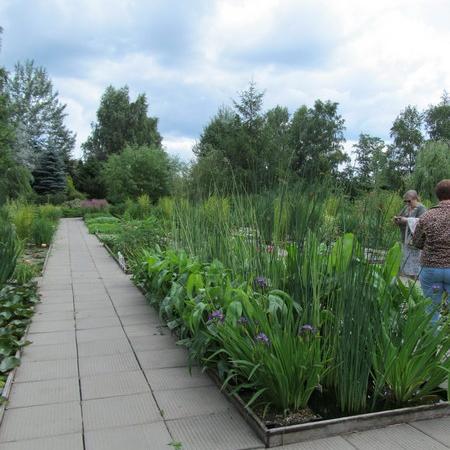 Просмотр увеличенного изображения