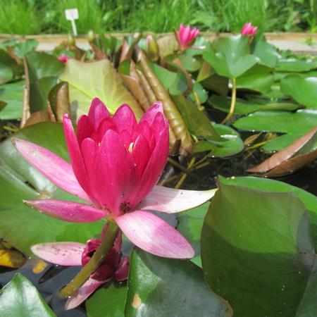 Просмотр увеличенного изображения