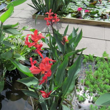 Просмотр увеличенного изображения