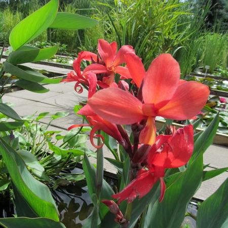 Просмотр увеличенного изображения