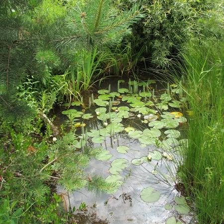 Просмотр увеличенного изображения