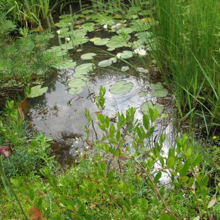 Просмотр увеличенного изображения