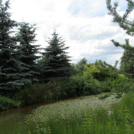 Просмотр увеличенного изображения