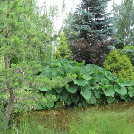 Просмотр увеличенного изображения