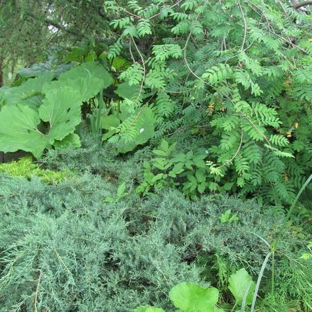 Просмотр увеличенного изображения