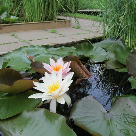 Просмотр увеличенного изображения