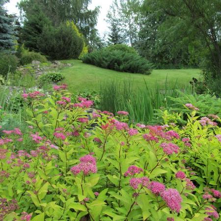 Просмотр увеличенного изображения