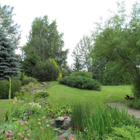 Просмотр увеличенного изображения