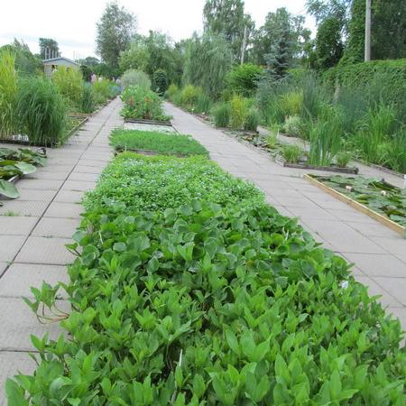 Просмотр увеличенного изображения