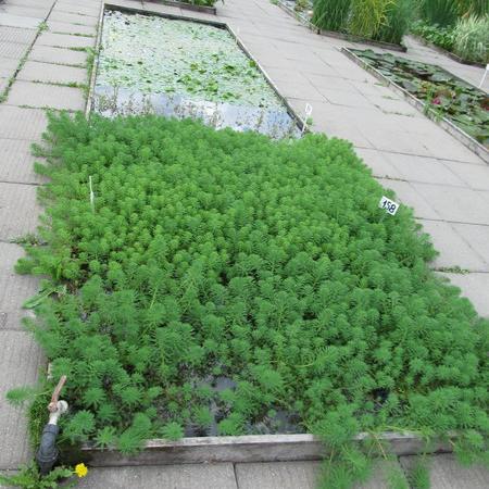 Просмотр увеличенного изображения