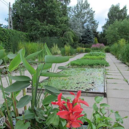 Просмотр увеличенного изображения