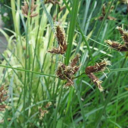 Просмотр увеличенного изображения