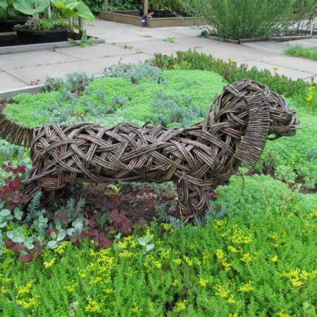 Просмотр увеличенного изображения