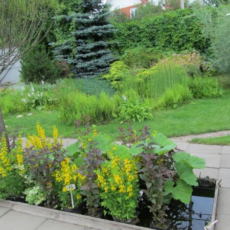 Просмотр увеличенного изображения