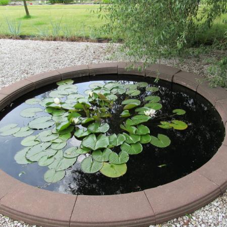 Просмотр увеличенного изображения